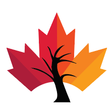 Maple Tree Language School